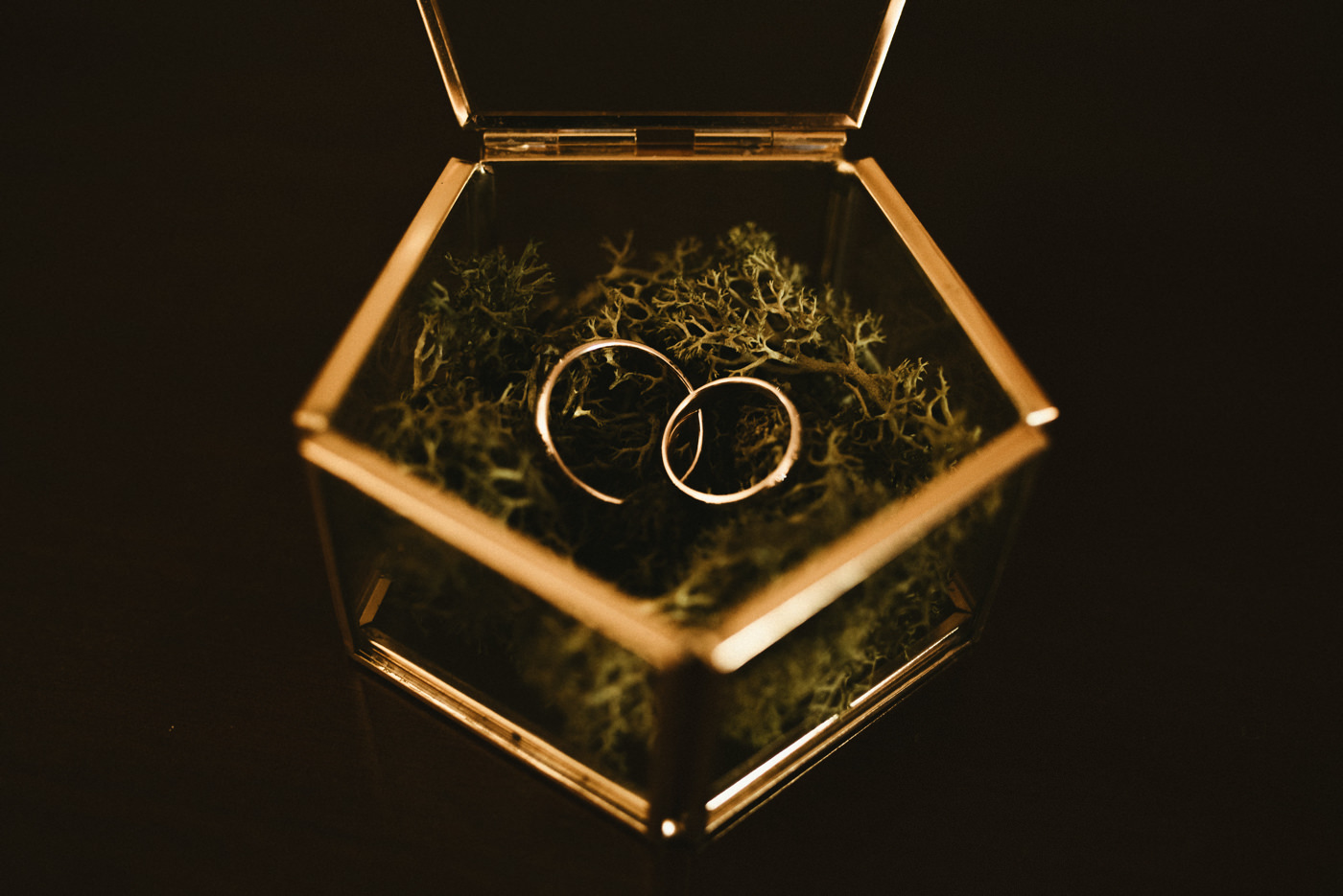 Javier Agúndez Fotógrafo de Bodas